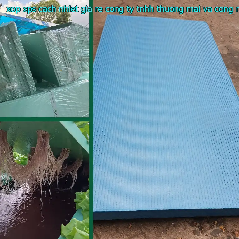 Màu sắc xốp XPS cách nhiệt giá rẻ Công ty TNHH thương mại và công nghiệp Tín Tâm: Xanh dương Màu sắc xốp XPS cách nhiệt giá rẻ Công ty TNHH thương mại và công nghiệp Tín Tâm: Xanh dương
