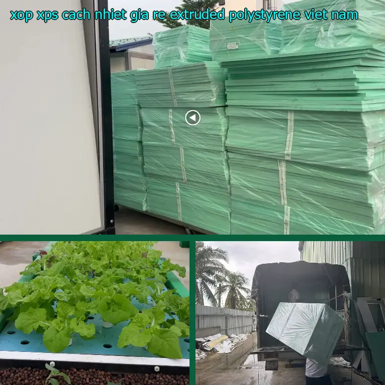 Xuất xứ xốp XPS cách nhiệt giá rẻ Extruded Polystyrene: Việt Nam