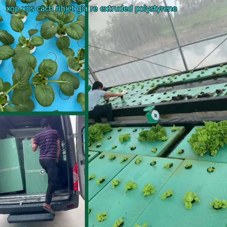 Xốp XPS cách nhiệt giá rẻ Extruded Polystyrene