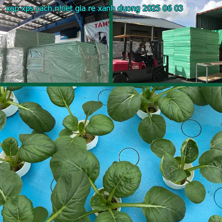 Ngày sản xuất xốp XPS cách nhiệt giá rẻ Xanh dương: 2025-06-03 Ngày sản xuất xốp XPS cách nhiệt giá rẻ Xanh dương: 2025-06-03