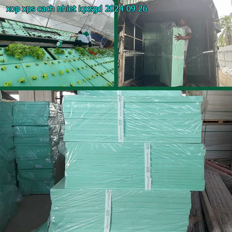 Ngày sản xuất xốp XPS cách nhiệt IQXSGD: 2024-09-26 Ngày sản xuất xốp XPS cách nhiệt IQXSGD: 2024-09-26