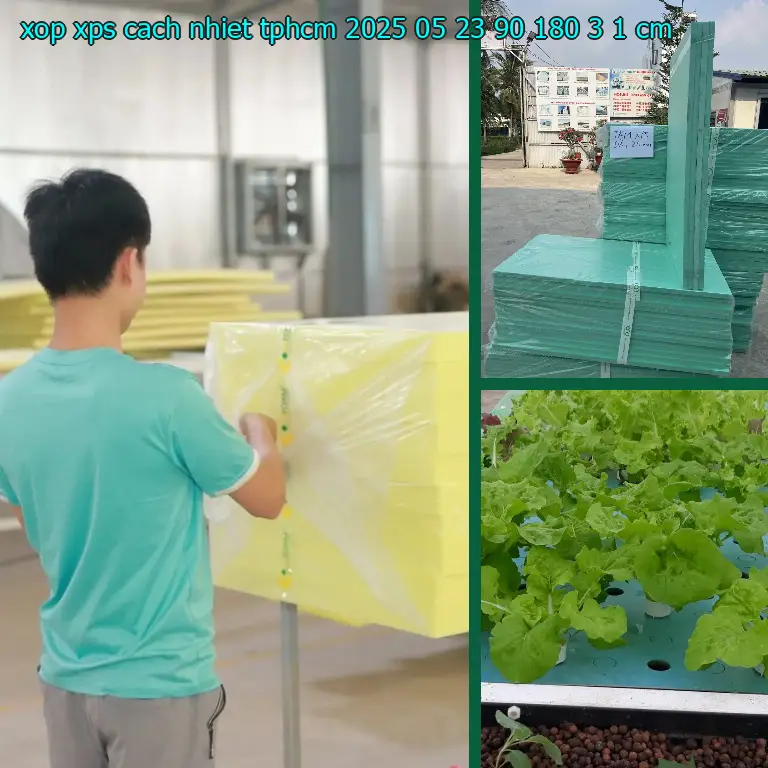 Kích thước xốp XPS cách nhiệt TpHCM 2025-05-23: 90*180*3.1 cm Kích thước xốp XPS cách nhiệt TpHCM 2025-05-23: 90*180*3.1 cm