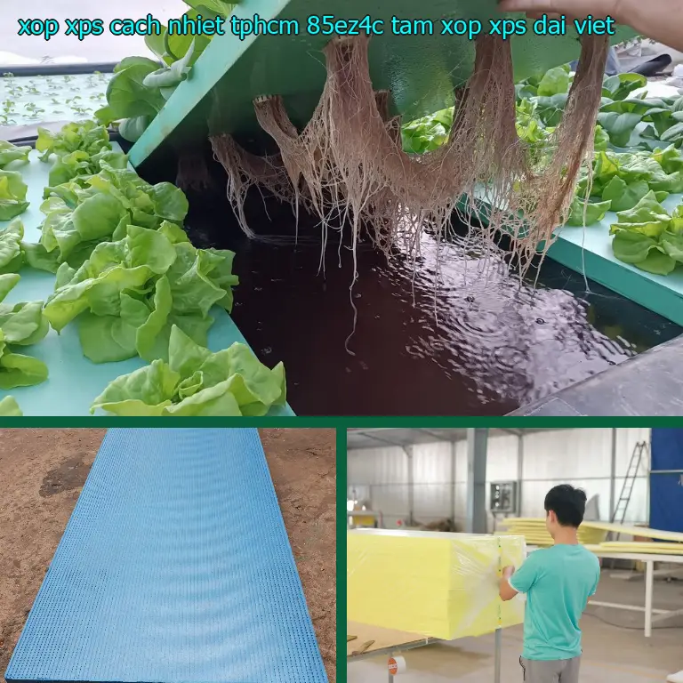 Nhà sản xuất xốp XPS cách nhiệt TpHCM 85EZ4C: Tấm xốp XPS Đại Việt Nhà sản xuất xốp XPS cách nhiệt TpHCM 85EZ4C: Tấm xốp XPS Đại Việt
