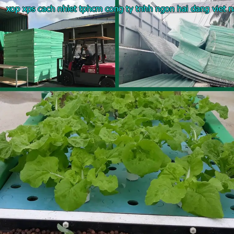 Xuất xứ xốp XPS cách nhiệt TpHCM Công ty TNHH Ngọn Hải Đăng: Viet Nam Xuất xứ xốp XPS cách nhiệt TpHCM Công ty TNHH Ngọn Hải Đăng: Viet Nam