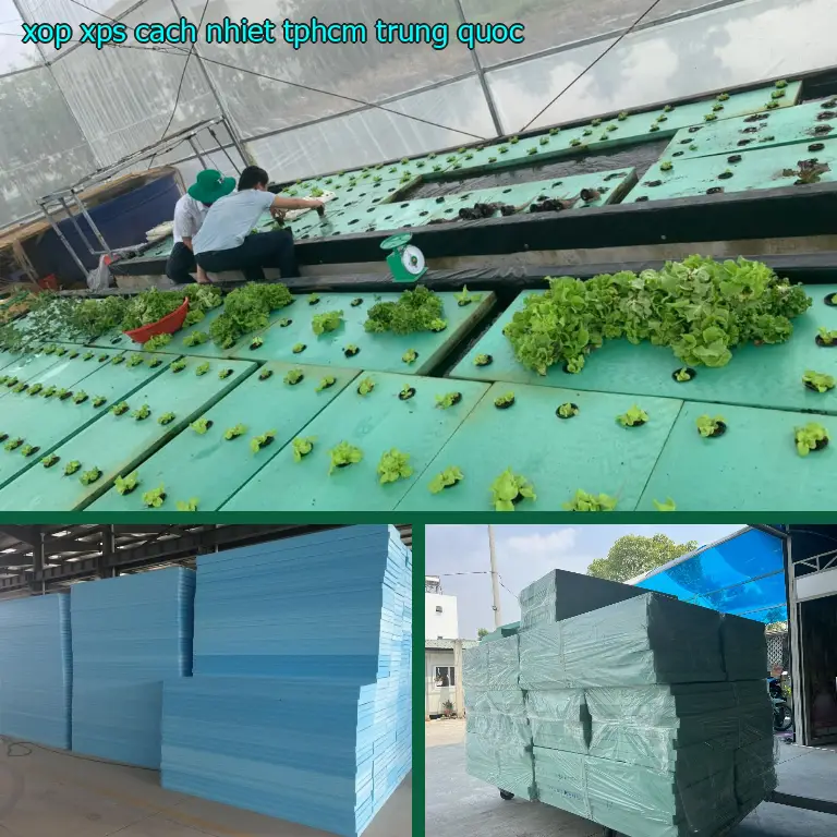 Xốp XPS cách nhiệt TpHCM Trung Quốc