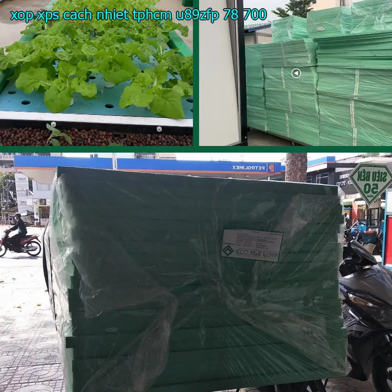 Giá xốp XPS cách nhiệt TpHCM U89ZFP: 78.700₫ Giá xốp XPS cách nhiệt TpHCM U89ZFP: 78.700₫