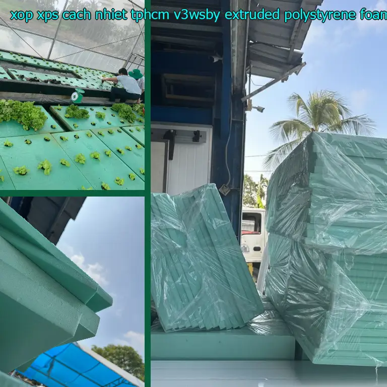 Chất liệu xốp XPS cách nhiệt TpHCM V3WSBY: Extruded Polystyrene Foam Chất liệu xốp XPS cách nhiệt TpHCM V3WSBY: Extruded Polystyrene Foam