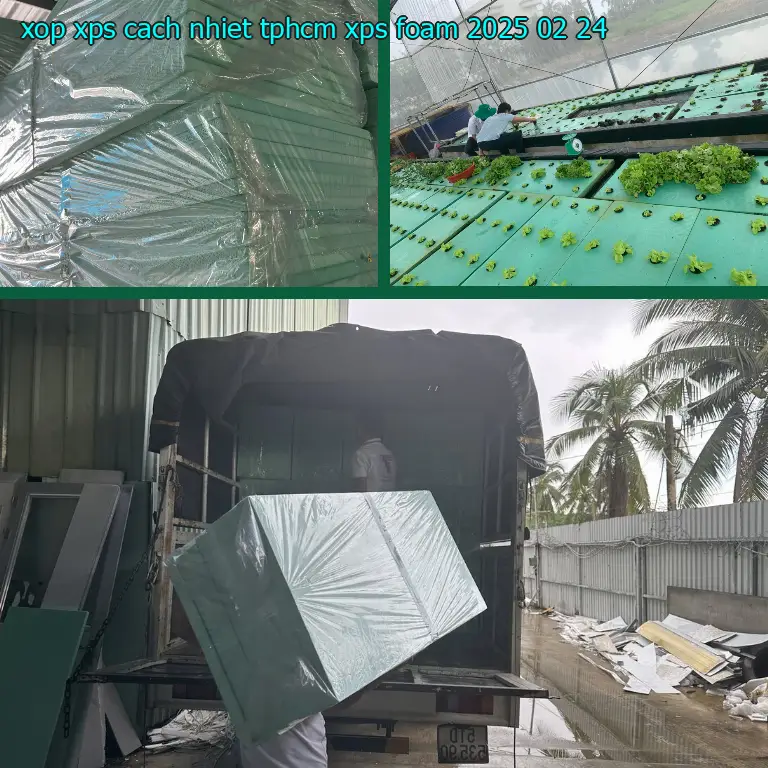 Ngày sản xuất xốp XPS cách nhiệt TpHCM XPS Foam: 2025-02-24
