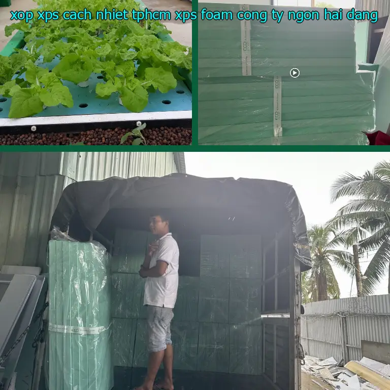 Nhà cung cấp xốp XPS cách nhiệt TpHCM XPS Foam: Công ty Ngọn Hải Đăng