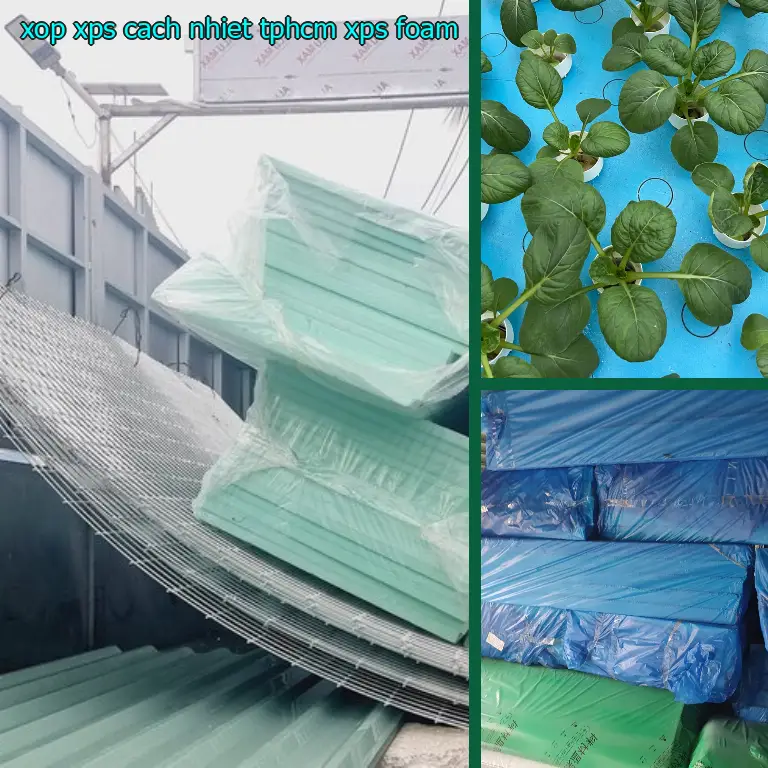 Xốp XPS cách nhiệt TpHCM XPS Foam