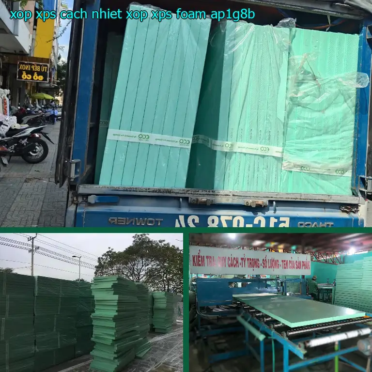 Model xốp XPS cách nhiệt Xốp XPS Foam: AP1G8B Model xốp XPS cách nhiệt Xốp XPS Foam: AP1G8B