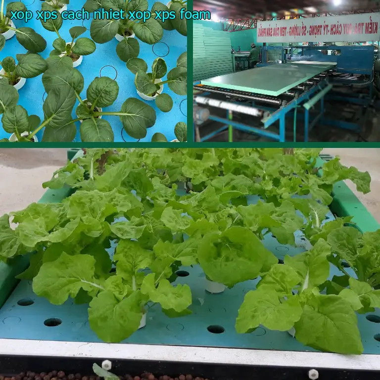 Xốp XPS cách nhiệt Xốp XPS Foam