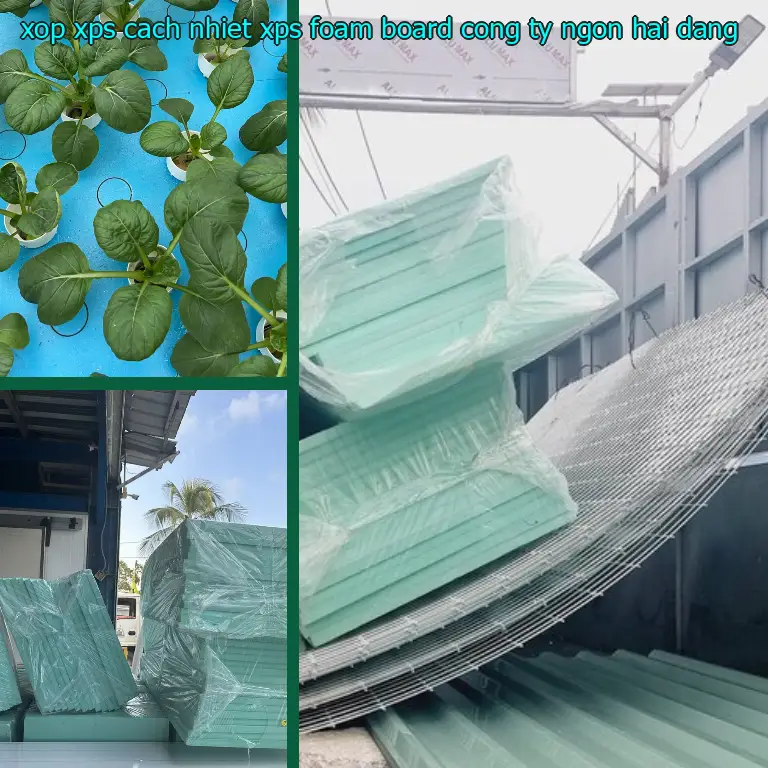 Nhà cung cấp xốp XPS cách nhiệt XPS Foam Board: Công ty Ngọn Hải Đăng Nhà cung cấp xốp XPS cách nhiệt XPS Foam Board: Công ty Ngọn Hải Đăng