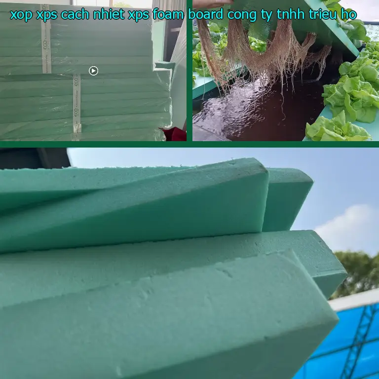 Nhà sản xuất xốp XPS cách nhiệt XPS Foam Board: Công ty TNHH Triệu Hổ Nhà sản xuất xốp XPS cách nhiệt XPS Foam Board: Công ty TNHH Triệu Hổ