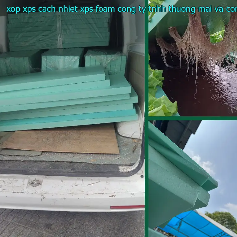 Nhà sản xuất xốp XPS cách nhiệt XPS Foam: Công ty TNHH thương mại và công nghiệp Tín Tâm Nhà sản xuất xốp XPS cách nhiệt XPS Foam: Công ty TNHH thương mại và công nghiệp Tín Tâm