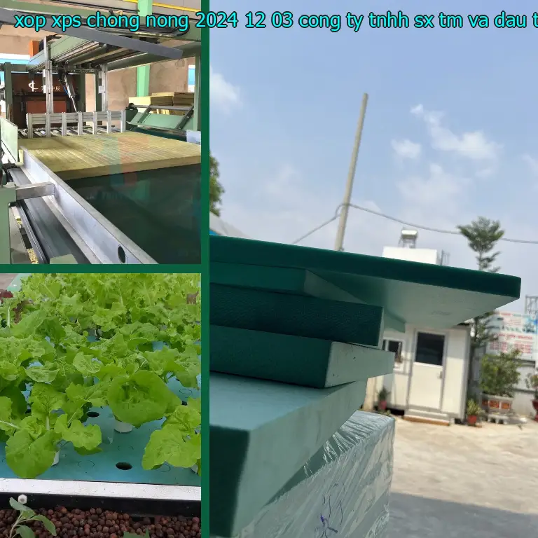 Nhà sản xuất xốp XPS chống nóng 2024-12-03: Công ty TNHH SX TM và đầu tư Tiến Phong