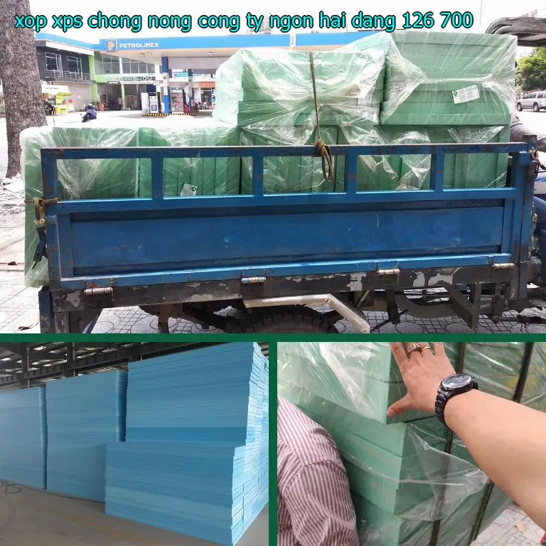 Giá xốp XPS chống nóng Công ty Ngọn Hải Đăng: 126.700₫ Giá xốp XPS chống nóng Công ty Ngọn Hải Đăng: 126.700₫