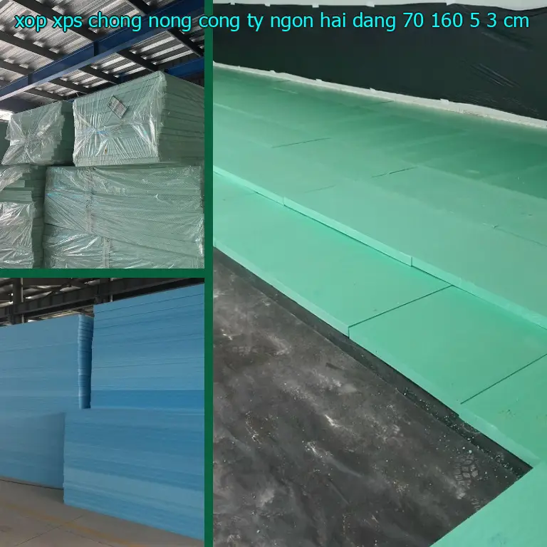 Kích thước xốp XPS chống nóng Công ty Ngọn Hải Đăng: 70*160*5.3 cm Kích thước xốp XPS chống nóng Công ty Ngọn Hải Đăng: 70*160*5.3 cm