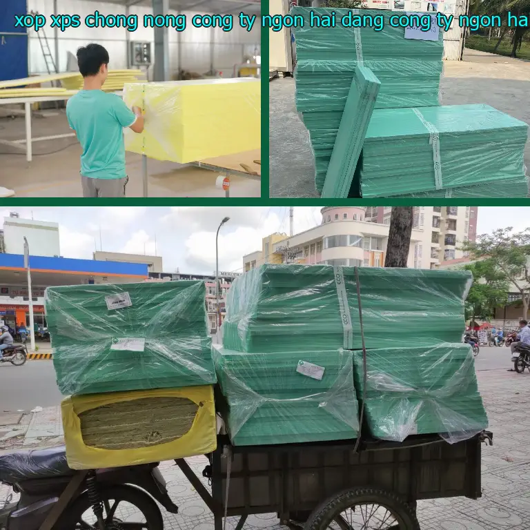 Nhà cung cấp xốp XPS chống nóng Công ty Ngọn Hải Đăng: Công ty Ngọn Hải Đăng Nhà cung cấp xốp XPS chống nóng Công ty Ngọn Hải Đăng: Công ty Ngọn Hải Đăng