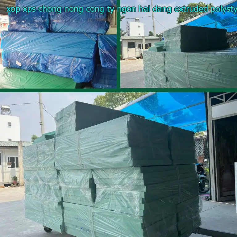 Chất liệu xốp XPS chống nóng Công ty Ngọn Hải Đăng: Extruded Polystyrene Foam Chất liệu xốp XPS chống nóng Công ty Ngọn Hải Đăng: Extruded Polystyrene Foam