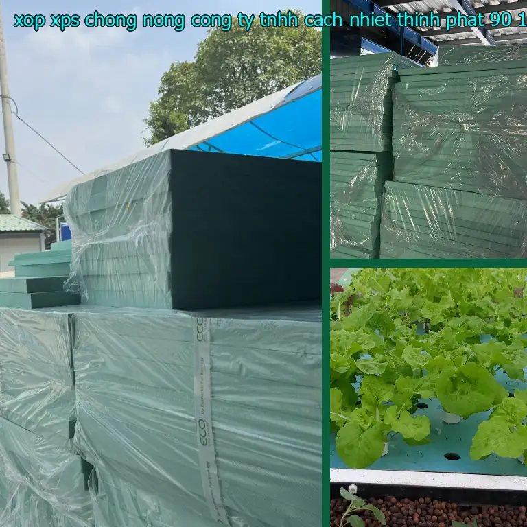 Kích thước xốp XPS chống nóng Công ty TNHH cách nhiệt Thịnh Phát: 90*120*5.3 cm