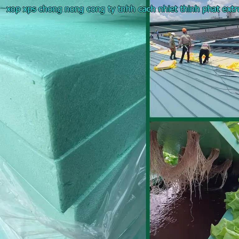Chất liệu xốp XPS chống nóng Công ty TNHH cách nhiệt Thịnh Phát: Extruded Polystyrene Foam