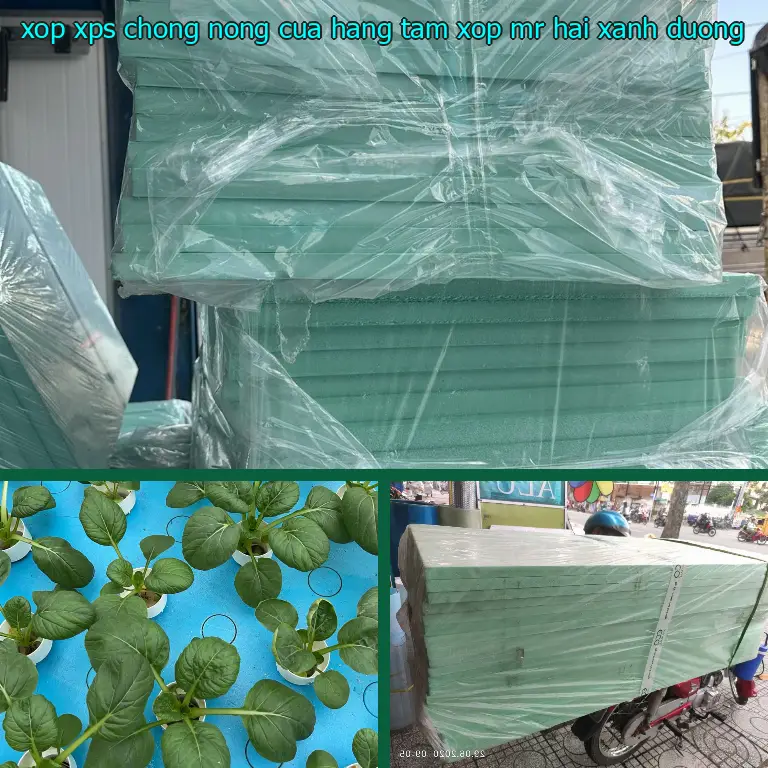 Màu sắc xốp XPS chống nóng Cửa hàng tấm xốp Mr.HẢI: Xanh dương Màu sắc xốp XPS chống nóng Cửa hàng tấm xốp Mr.HẢI: Xanh dương