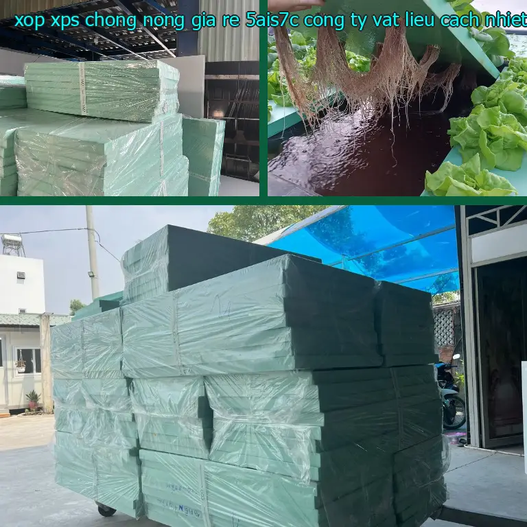 Nhà sản xuất xốp XPS chống nóng giá rẻ 5AIS7C: Công ty vật liệu cách nhiệt Việt Nhật Nhà sản xuất xốp XPS chống nóng giá rẻ 5AIS7C: Công ty vật liệu cách nhiệt Việt Nhật