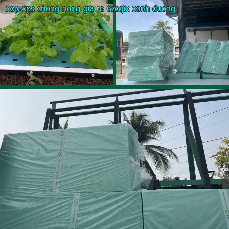 Màu sắc xốp XPS chống nóng giá rẻ 6ZCQIX: Xanh dương Màu sắc xốp XPS chống nóng giá rẻ 6ZCQIX: Xanh dương