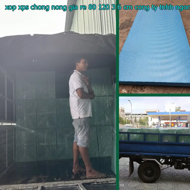 Nhà cung cấp xốp XPS chống nóng giá rẻ 80*120*3.6 cm: Công ty TNHH Ngọn Hải Đăng Nhà cung cấp xốp XPS chống nóng giá rẻ 80*120*3.6 cm: Công ty TNHH Ngọn Hải Đăng