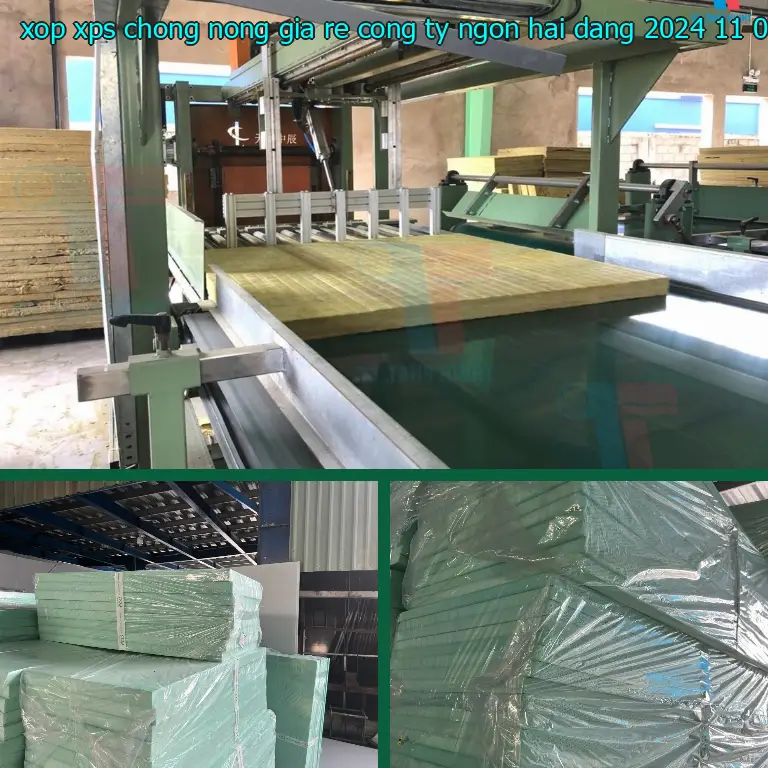 Ngày sản xuất xốp XPS chống nóng giá rẻ Công ty Ngọn Hải Đăng: 2024-11-07 Ngày sản xuất xốp XPS chống nóng giá rẻ Công ty Ngọn Hải Đăng: 2024-11-07