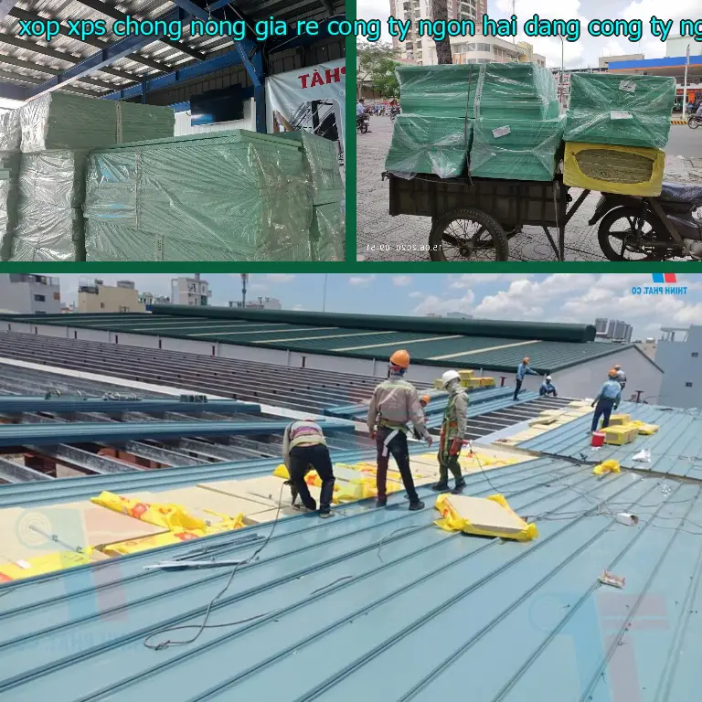 Nhà cung cấp xốp XPS chống nóng giá rẻ Công ty Ngọn Hải Đăng: Công ty Ngọn Hải Đăng Nhà cung cấp xốp XPS chống nóng giá rẻ Công ty Ngọn Hải Đăng: Công ty Ngọn Hải Đăng