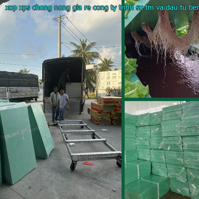 Đơn giá xốp XPS chống nóng giá rẻ Công ty TNHH SX TM và đầu tư Tiến Phong: 100.400₫