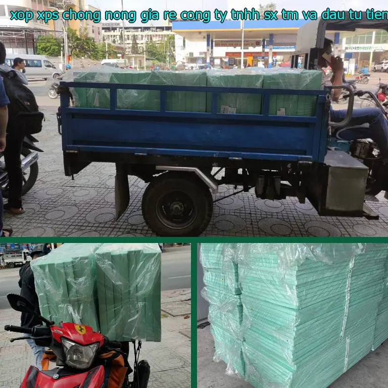 Model xốp XPS chống nóng giá rẻ Công ty TNHH SX TM và đầu tư Tiến Phong: RIZVOX