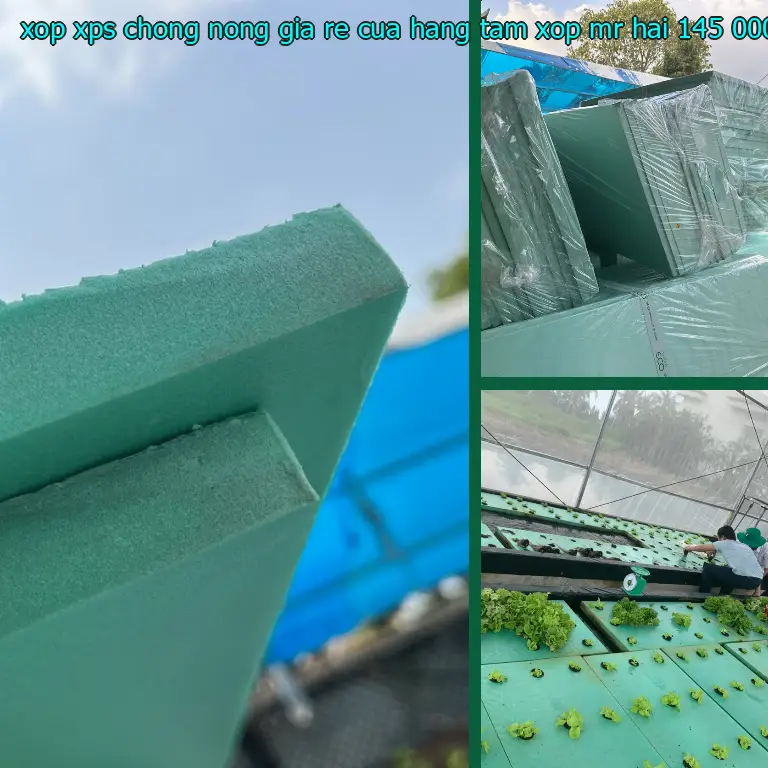 Giá xốp XPS chống nóng giá rẻ Cửa hàng tấm xốp Mr.HẢI: 145.000₫ Giá xốp XPS chống nóng giá rẻ Cửa hàng tấm xốp Mr.HẢI: 145.000₫