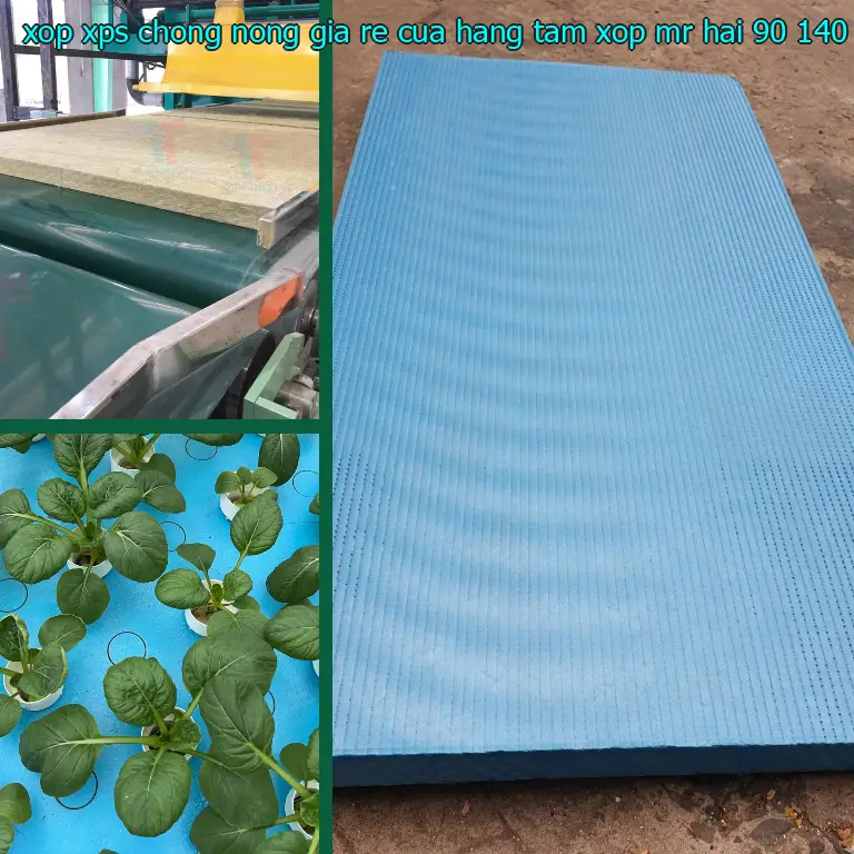 Kích thước xốp XPS chống nóng giá rẻ Cửa hàng tấm xốp Mr.HẢI: 90*140*6.8 cm Kích thước xốp XPS chống nóng giá rẻ Cửa hàng tấm xốp Mr.HẢI: 90*140*6.8 cm