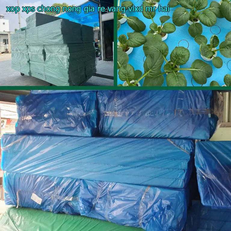Nhà cung cấp xốp XPS chống nóng giá rẻ Vàng: VLXD Mr.HẢI