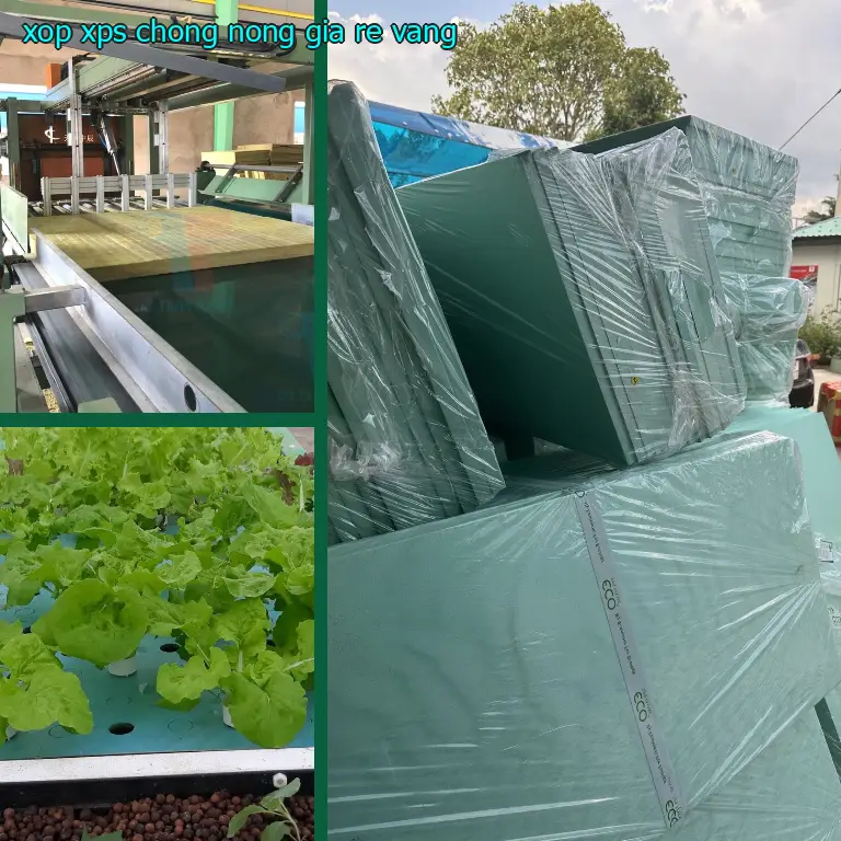 Xốp XPS chống nóng giá rẻ Vàng