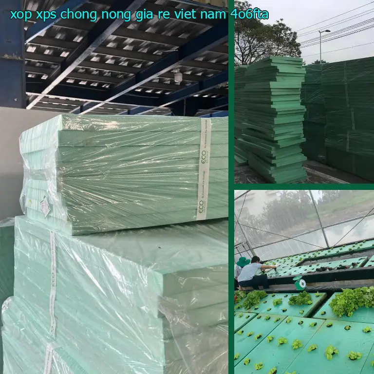 Model xốp XPS chống nóng giá rẻ Việt Nam: 4O6FTA