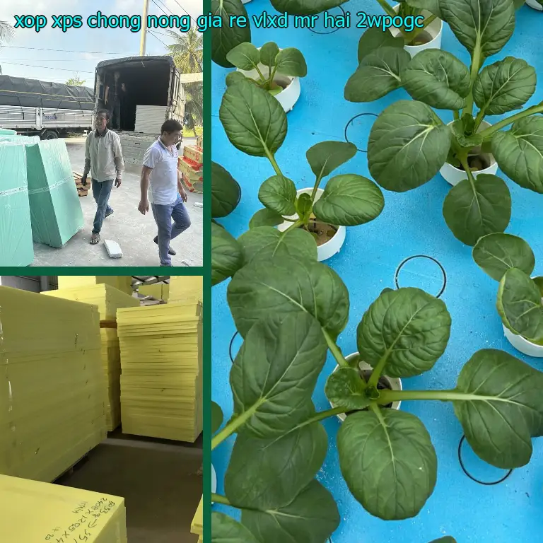 Model xốp XPS chống nóng giá rẻ VLXD Mr.HẢI: 2WPOGC