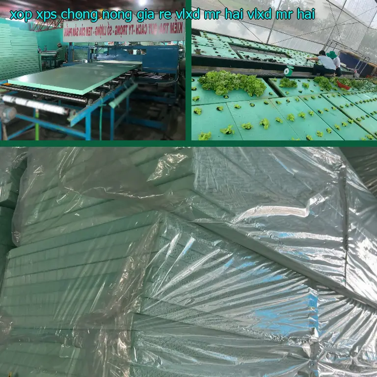 Nhà cung cấp xốp XPS chống nóng giá rẻ VLXD Mr.HẢI: VLXD Mr.HẢI