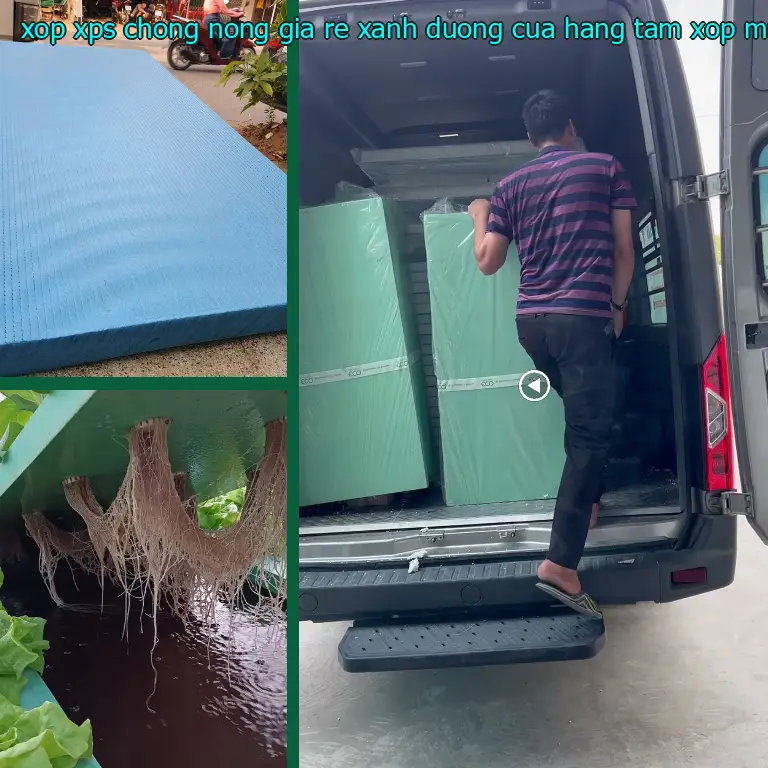 Nhà cung cấp xốp XPS chống nóng giá rẻ Xanh dương: Cửa hàng tấm xốp Mr.HẢI Nhà cung cấp xốp XPS chống nóng giá rẻ Xanh dương: Cửa hàng tấm xốp Mr.HẢI