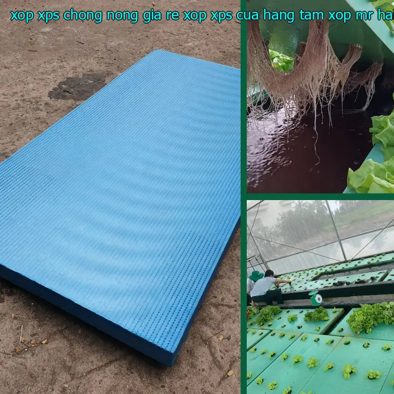 Nhà cung cấp xốp XPS chống nóng giá rẻ Xốp XPS: Cửa hàng tấm xốp Mr.HẢI Nhà cung cấp xốp XPS chống nóng giá rẻ Xốp XPS: Cửa hàng tấm xốp Mr.HẢI