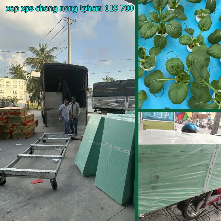 Xốp XPS chống nóng TpHCM 119.700₫