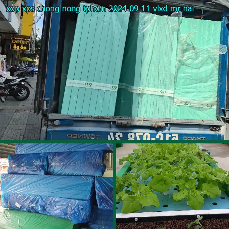 Nhà cung cấp xốp XPS chống nóng TpHCM 2024-09-11: VLXD Mr.HẢI Nhà cung cấp xốp XPS chống nóng TpHCM 2024-09-11: VLXD Mr.HẢI