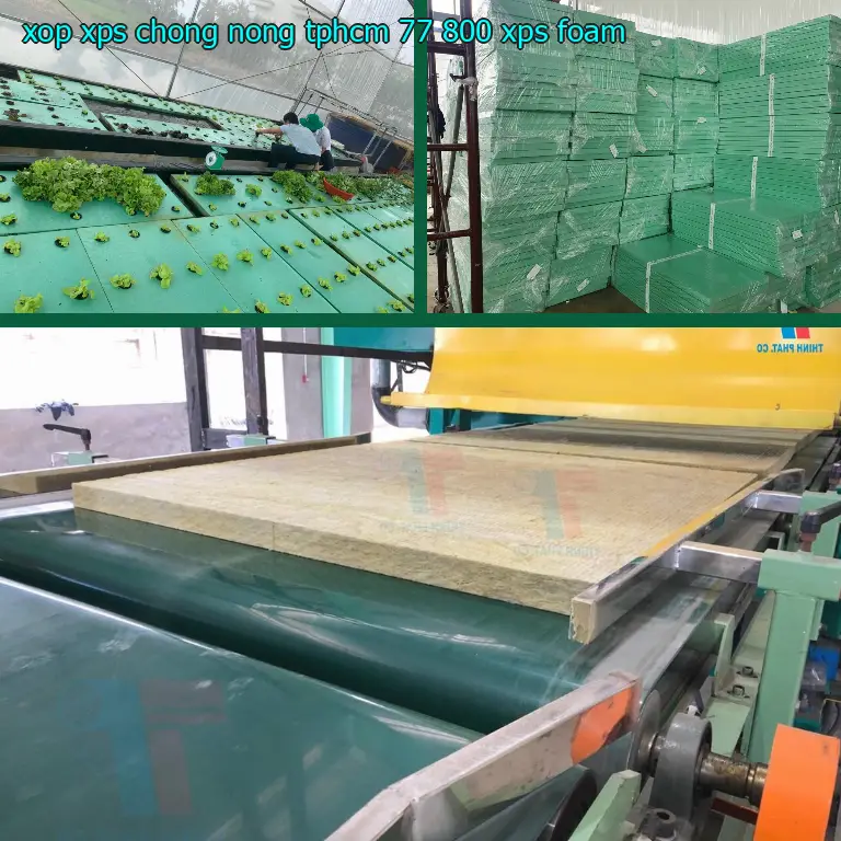 Danh mục xốp XPS chống nóng TpHCM 77.800₫: XPS Foam Danh mục xốp XPS chống nóng TpHCM 77.800₫: XPS Foam
