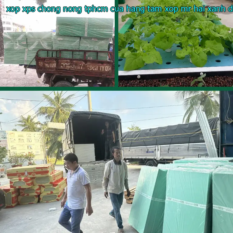 Màu sắc xốp XPS chống nóng TpHCM Cửa hàng tấm xốp Mr.HẢI: Xanh dương Màu sắc xốp XPS chống nóng TpHCM Cửa hàng tấm xốp Mr.HẢI: Xanh dương