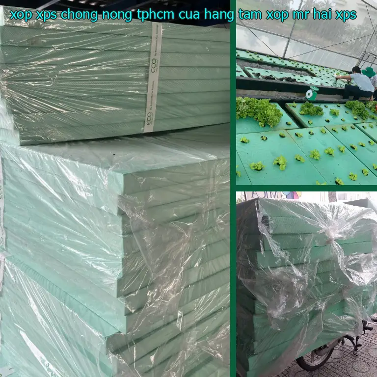 Chất liệu xốp XPS chống nóng TpHCM Cửa hàng tấm xốp Mr.HẢI: XPS Chất liệu xốp XPS chống nóng TpHCM Cửa hàng tấm xốp Mr.HẢI: XPS