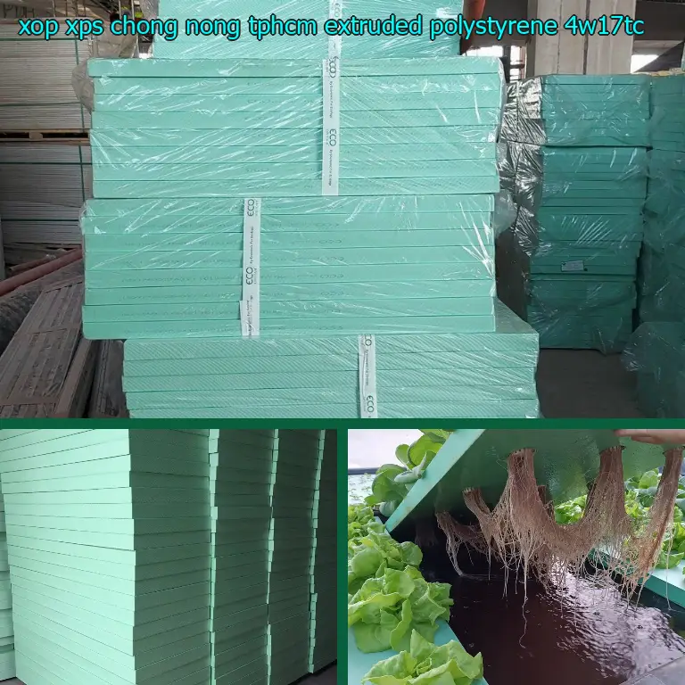 Model xốp XPS chống nóng TpHCM Extruded Polystyrene: 4W17TC Model xốp XPS chống nóng TpHCM Extruded Polystyrene: 4W17TC