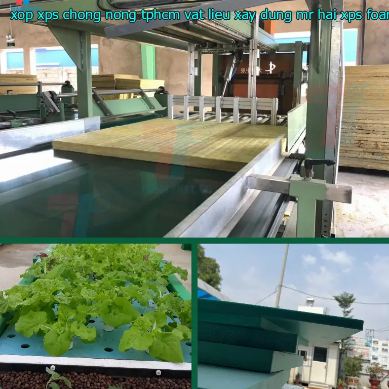 Danh mục xốp XPS chống nóng TpHCM Vật Liệu Xây Dựng Mr.HẢI: XPS Foam Board Danh mục xốp XPS chống nóng TpHCM Vật Liệu Xây Dựng Mr.HẢI: XPS Foam Board